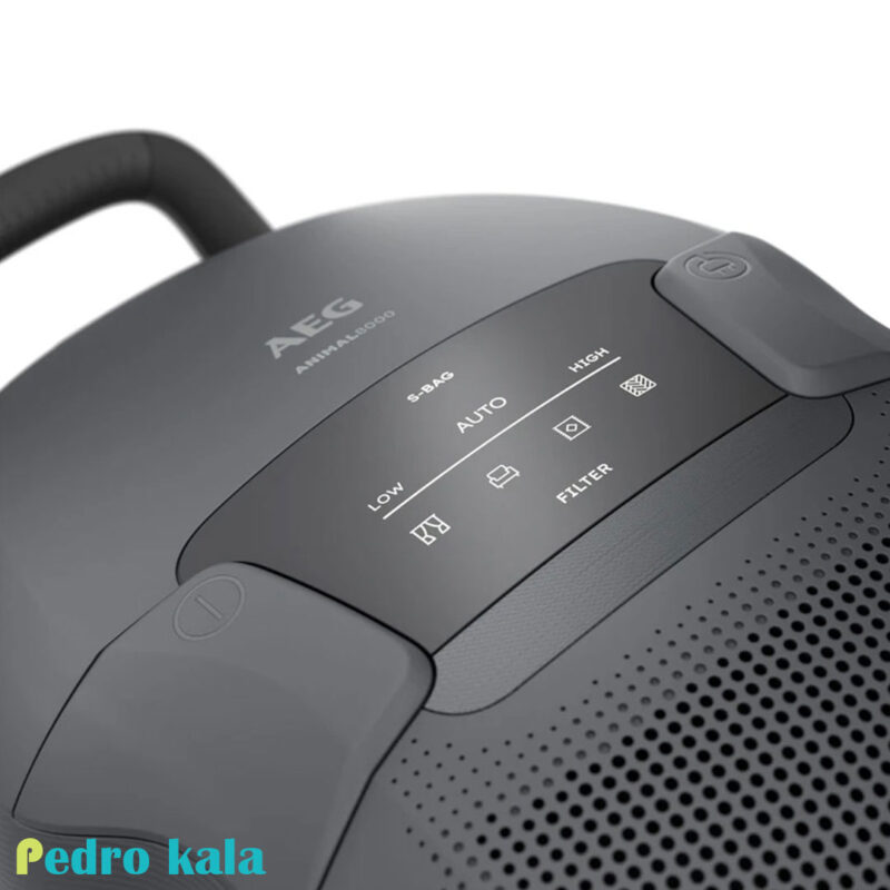 جاروبرقی AEG مدل AB81A2DG